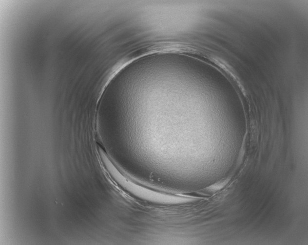 X0000058131481200510071952