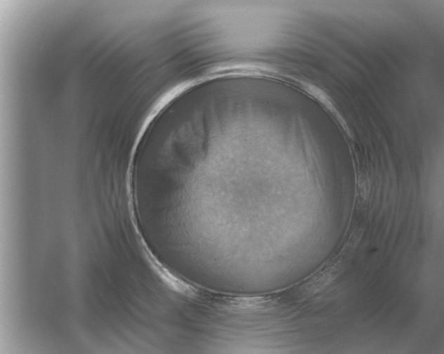 X0000058131482200510071952