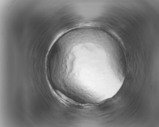 X0000058131483200510071952