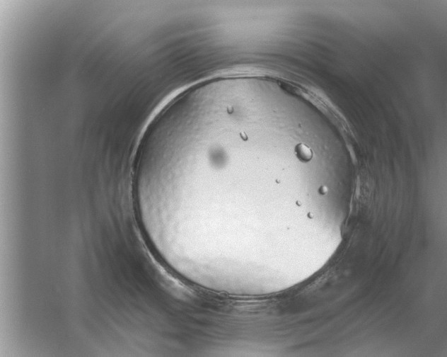 X0000058131484200510071952