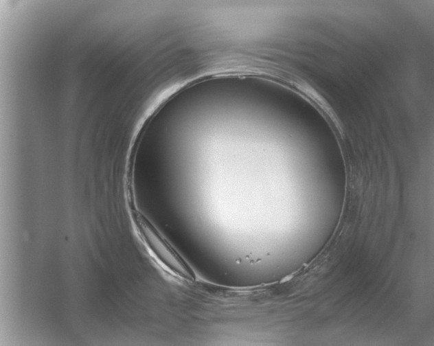 X0000058131485200510071952