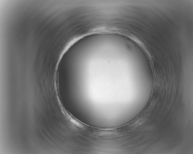 X0000058131486200510071952