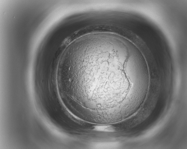 X0000058131487200510071952