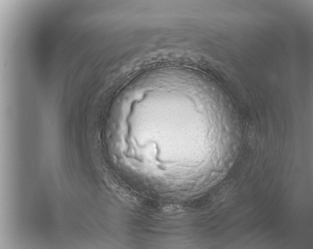 X0000058131489200510071951