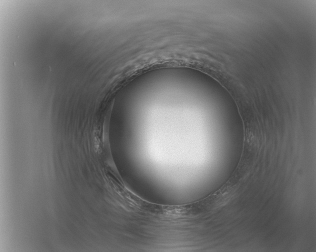 X0000058131490200510071951