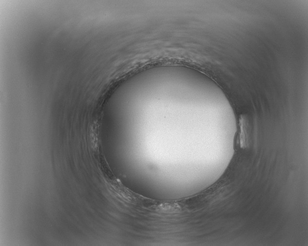 X0000058131491200510071951