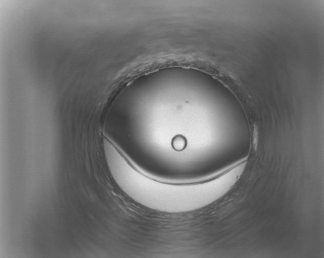 X0000058131492200510071951