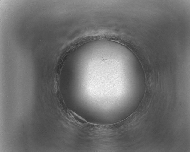 X0000058131493200510071951