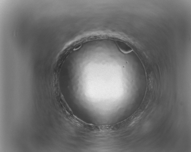 X0000058131494200510071951