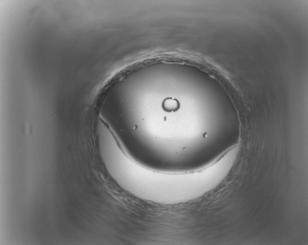 X0000058131496200510071951