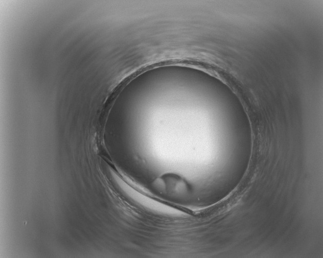 X0000058131497200510071951