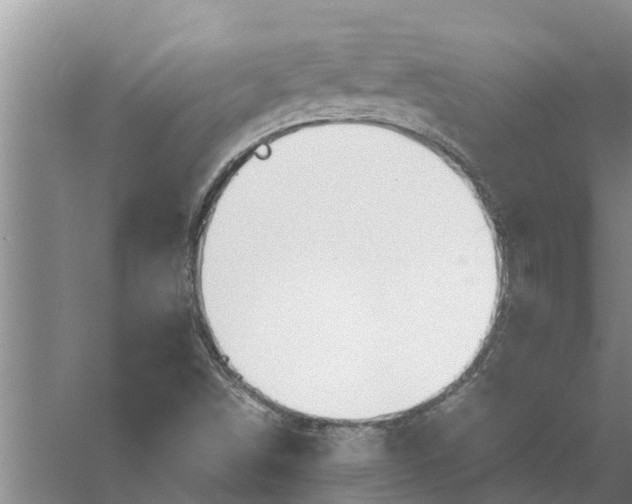 X0000058131498200510071951