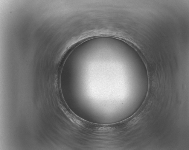 X0000058131499200510071951