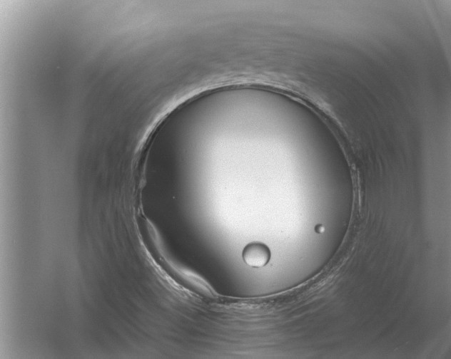 X0000058131500200510071951