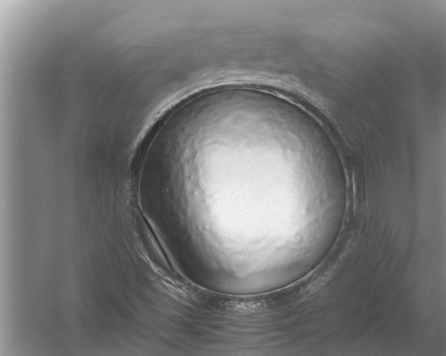 X0000058131501200510071951