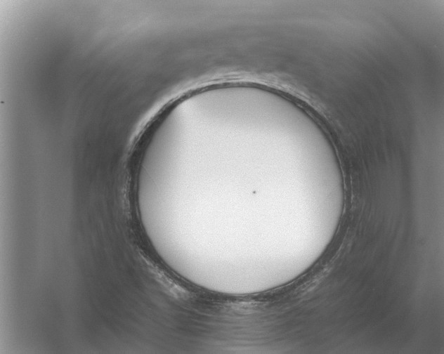 X0000058131502200510071951