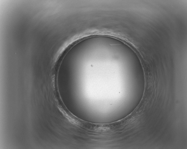 X0000058131503200510071951