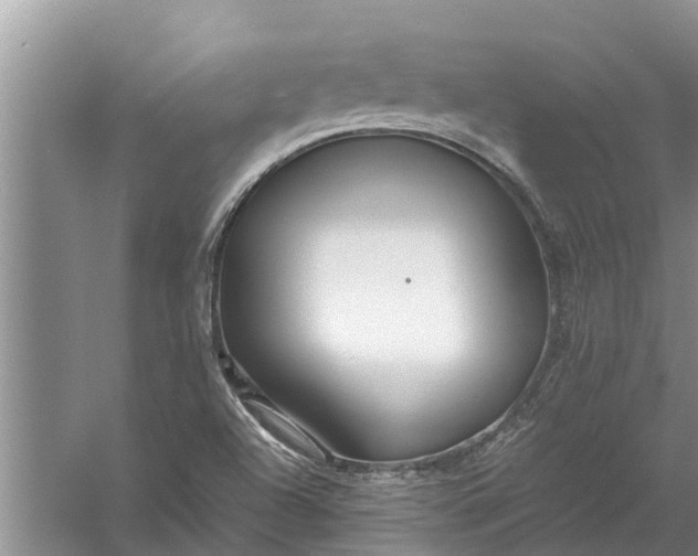 X0000058131504200510071952