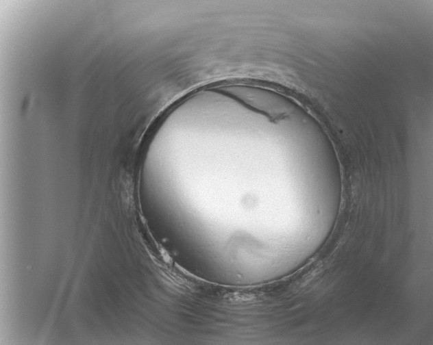 X0000058131505200510071952