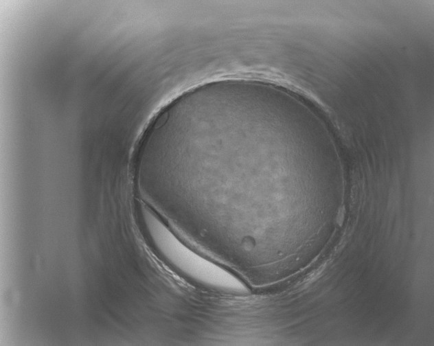 X0000058131506200510071952