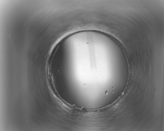 X0000058131510200510071952