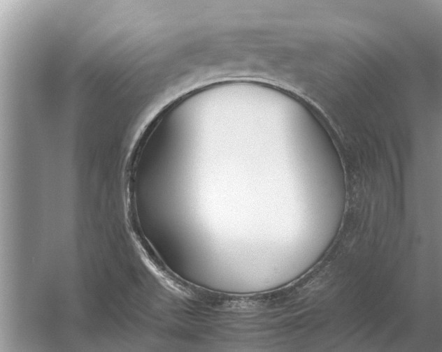 X0000058131511200510071952