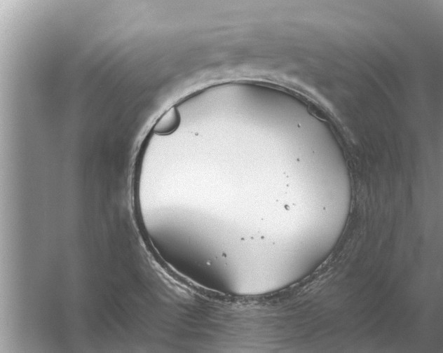 X0000058131512200510071952