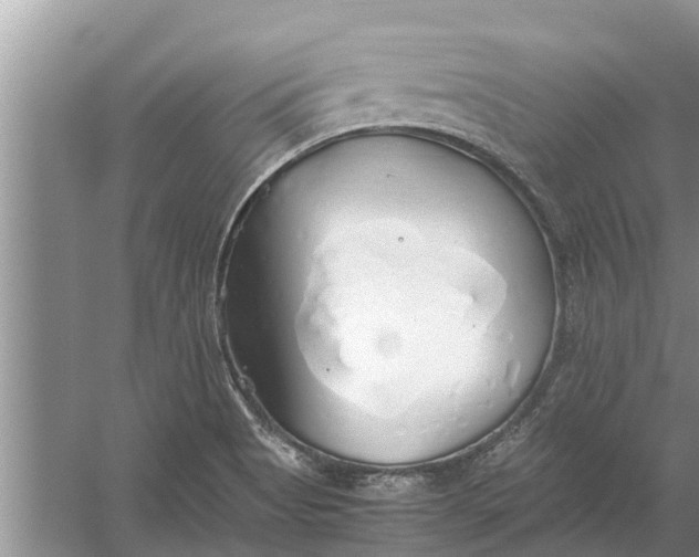 X0000058131513200510071952