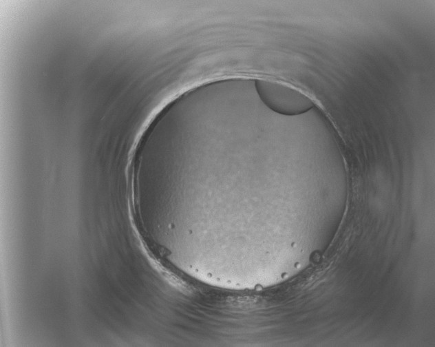 X0000058131515200510071952