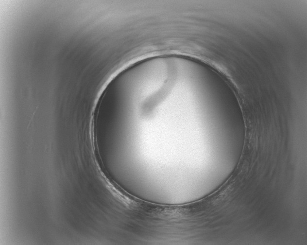 X0000058131516200510071952