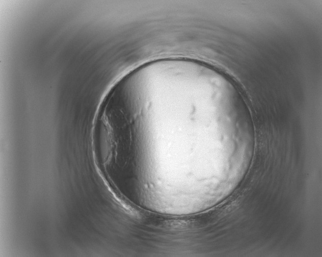 X0000058131517200510071952