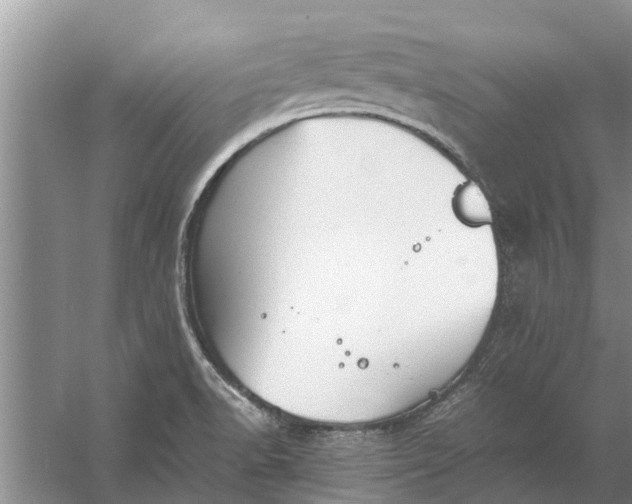 X0000058131518200510071952