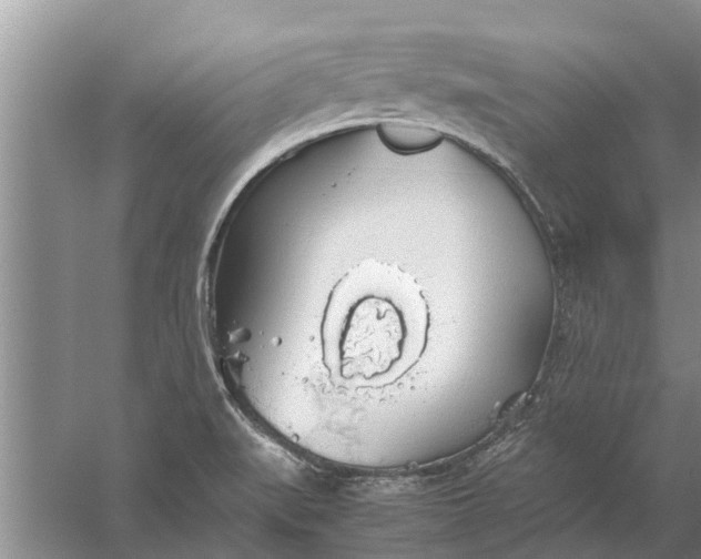 X0000058131519200510071952