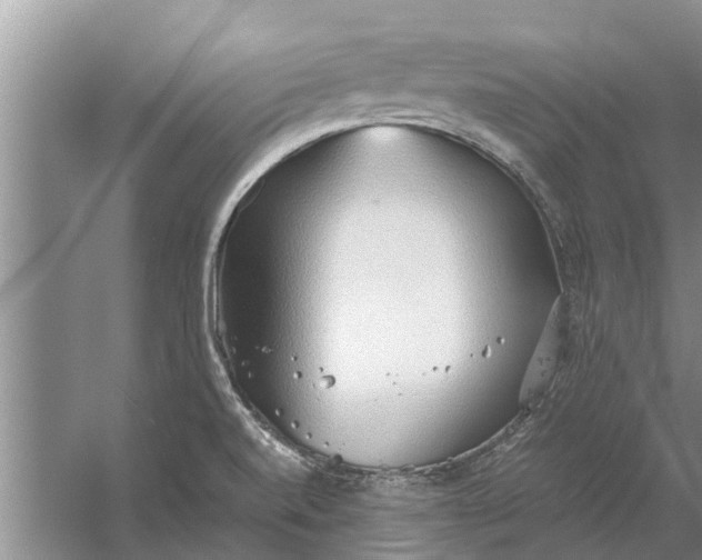 X0000058131520200510071952