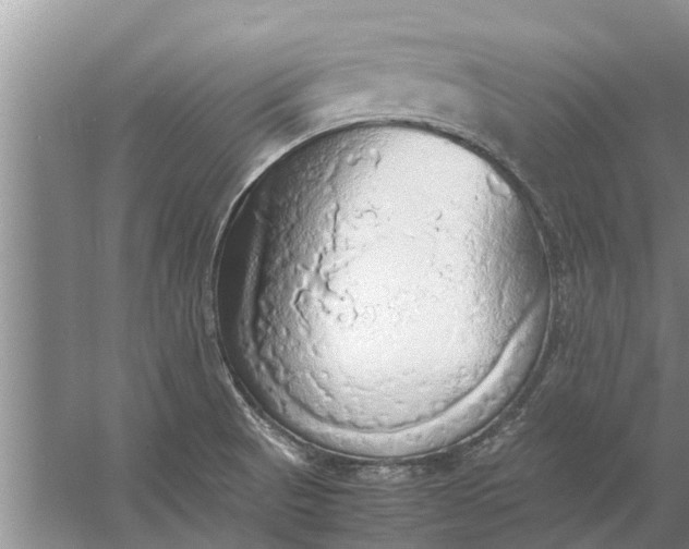 X0000058131521200510071952