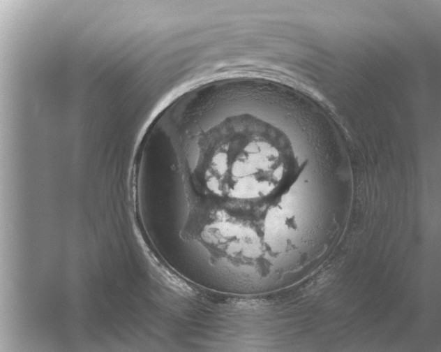 X0000058131522200510071952