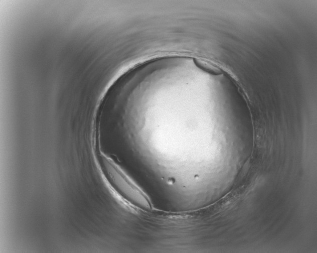 X0000058131523200510071952