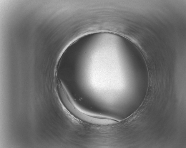 X0000058131524200510071952