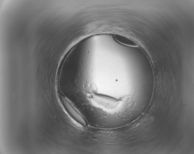 X0000058131525200510071952