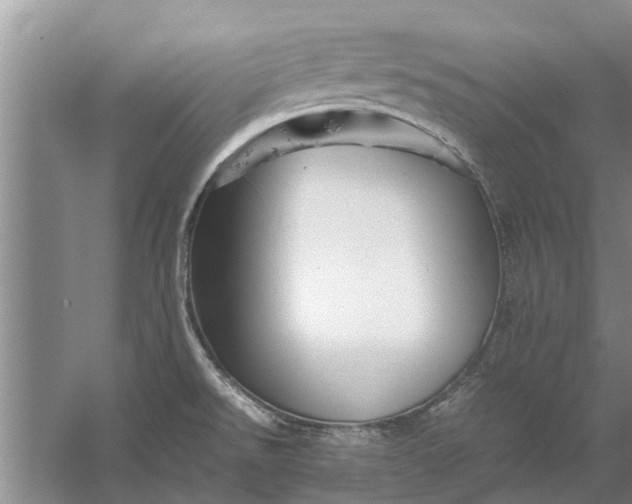 X0000058131526200510071952