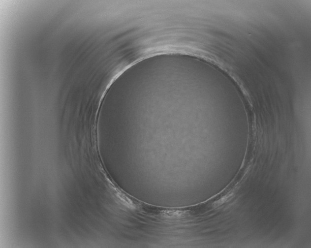 X0000058131529200510071952