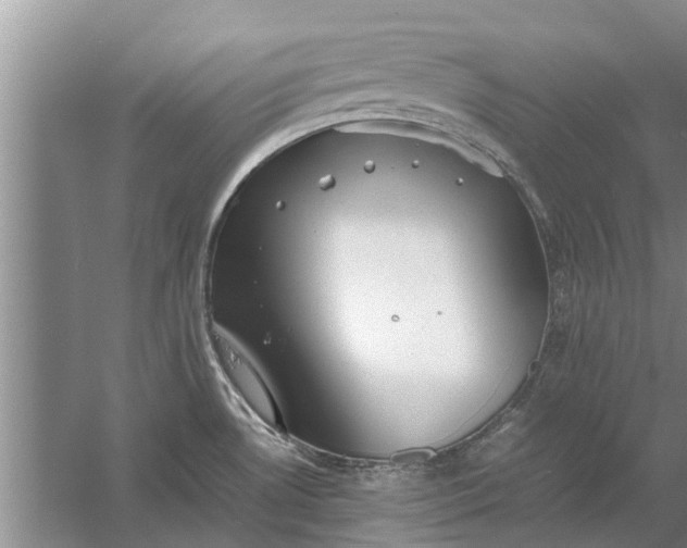 X0000058131530200510071952