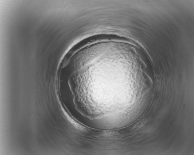 X0000058131531200510071952