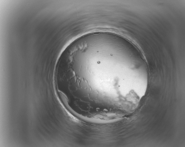 X0000058131533200510071952