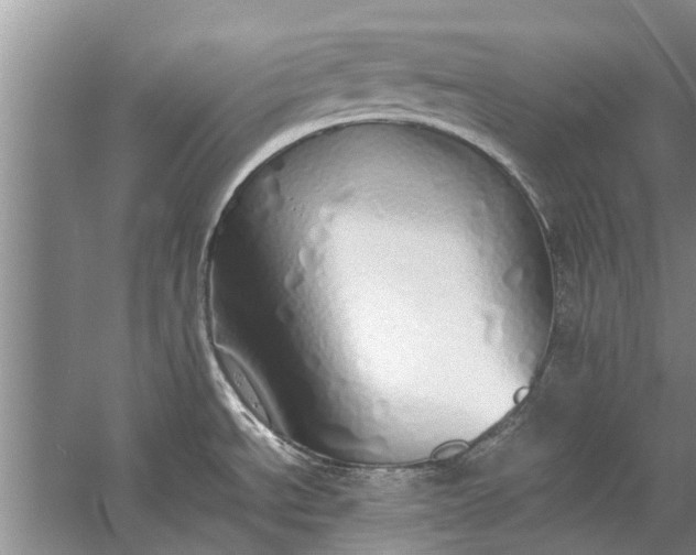 X0000058131534200510071952