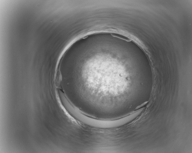 X0000058131536200510071952