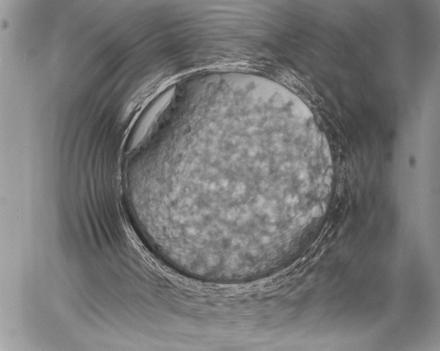 X0000058130002200510171348