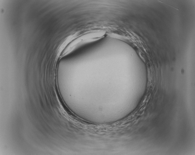 X0000058130003200510171348