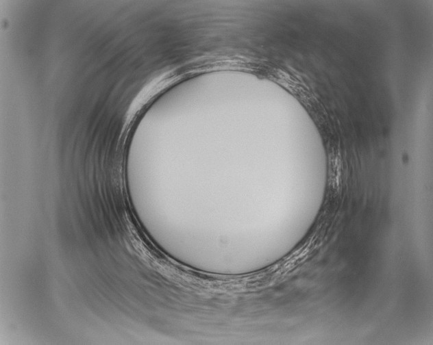 X0000058130004200510171348