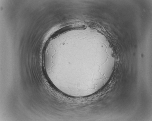 X0000058130006200510171348